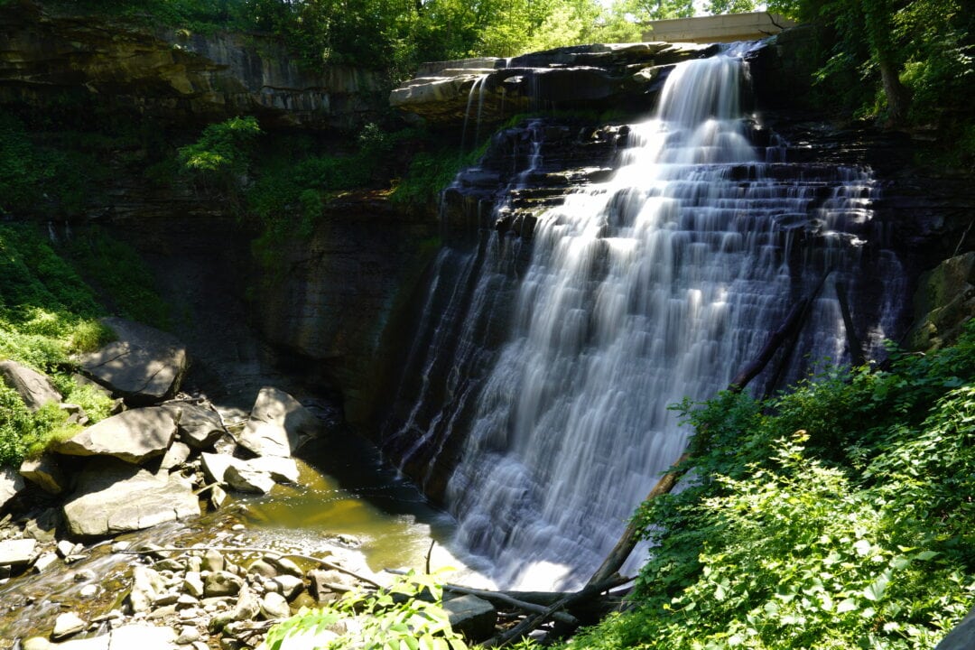 A waterfall rushing down rocks and dumping into a small creek with green trees and growth on the sloped sides