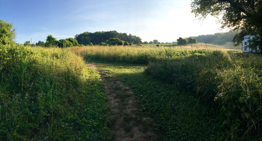 A quiet pathway winds through a field at First State National Historical Park