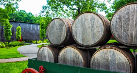 Funky and fun destinations in the South to add to your next road trip