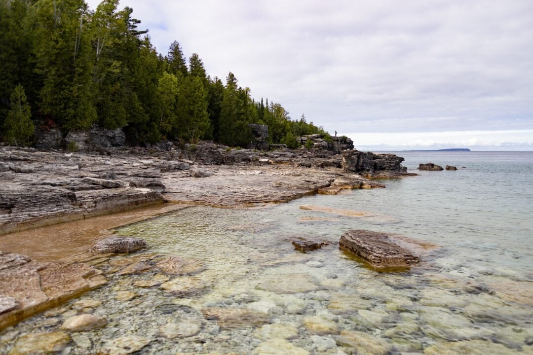 Shoreline with clear waters and pine trees dotting the land