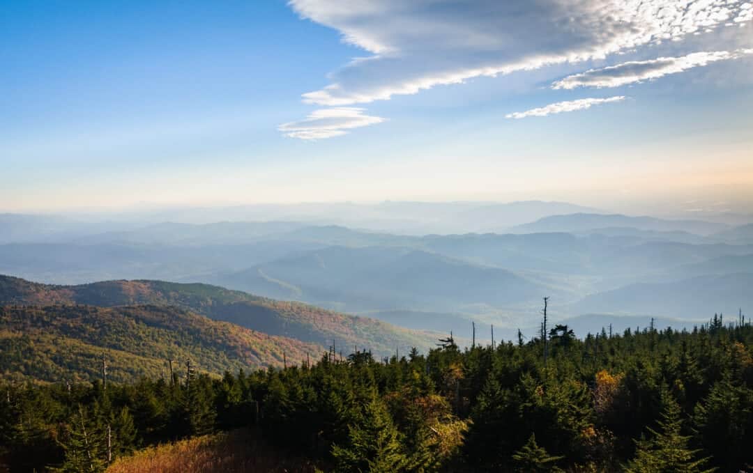 a scenic overlook with fog and trees under blue skies