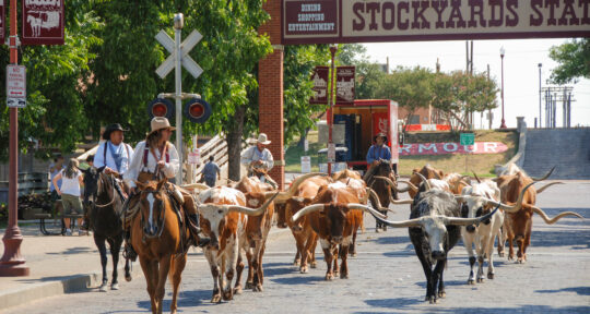 5 one-tank road trips from Dallas, Texas