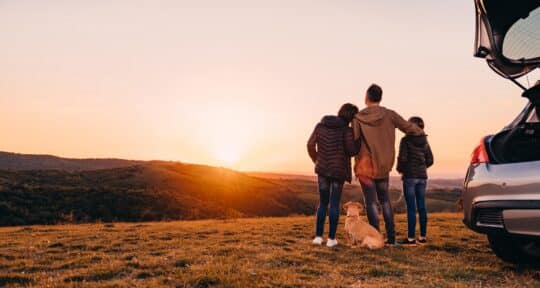 Best Dog-Friendly Road Trip Ideas and Destinations Across the U.S.