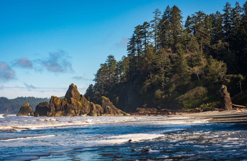 The Coastline at Ruby Beach in Olympic National Park
