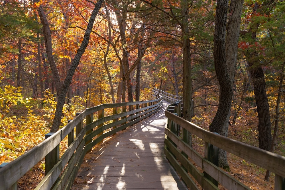 starved rock state park Illinois