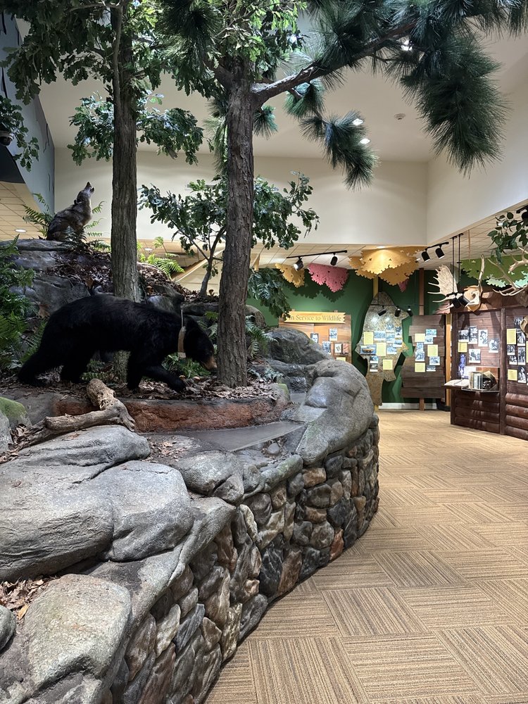 Charlie Elliott Wildlife Center in Mansfield, GA