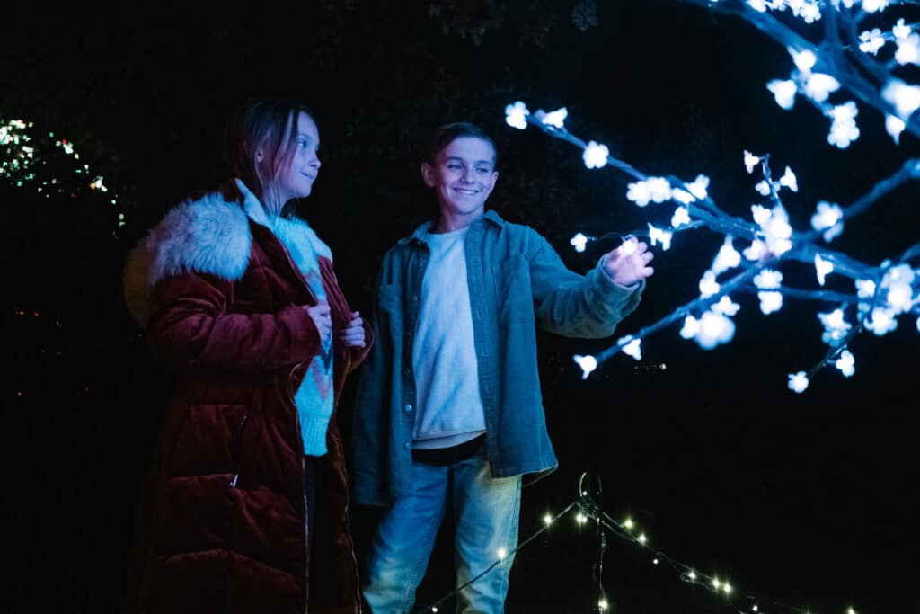 Garden of Lights in Redding, CA