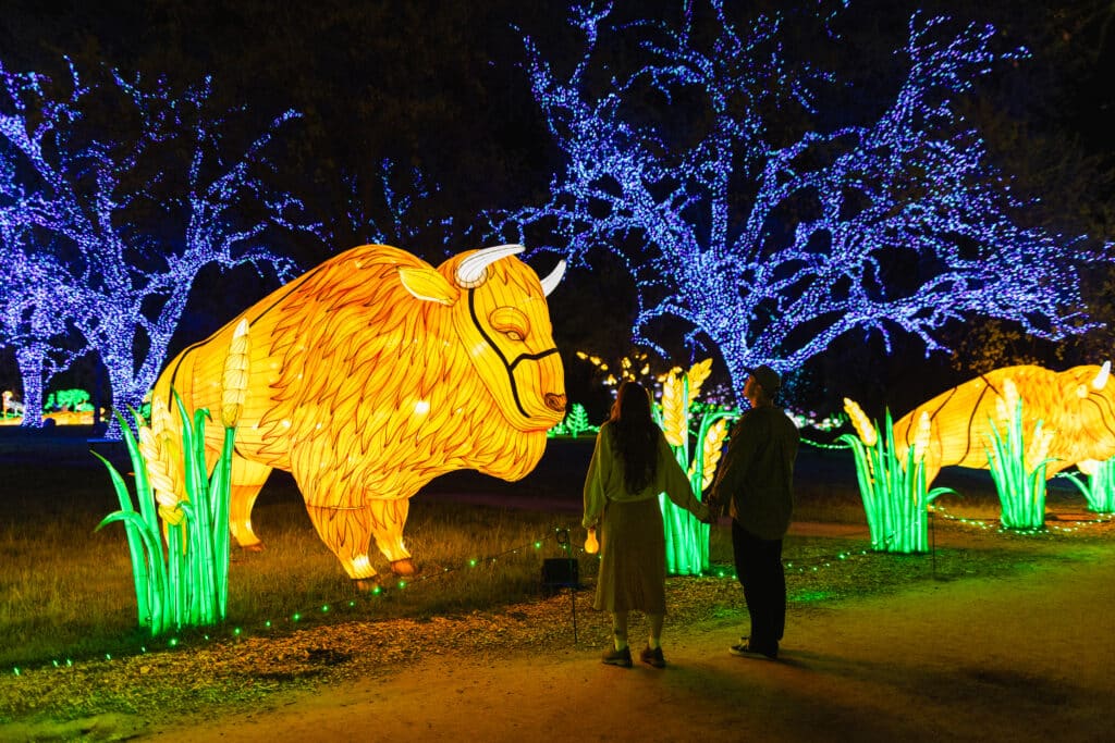 Glowing Wild in Redding, CA