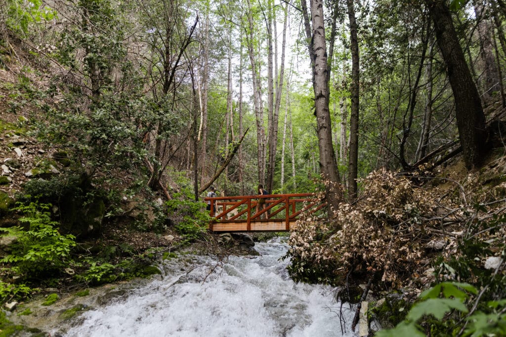 Hike in Whiskeytown, CA