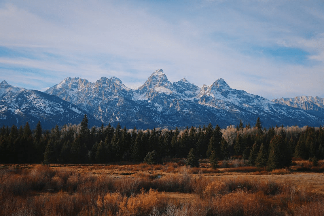 A landscape of trees and mountains within Grand Teton National Park