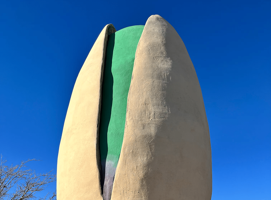 World's Largest Pistachio