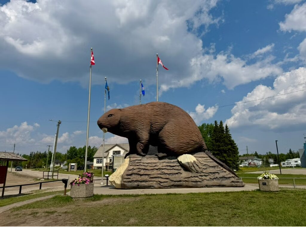 place_image-image-85eed0b0-ebc4-4d95-a5c3-18be548062a0